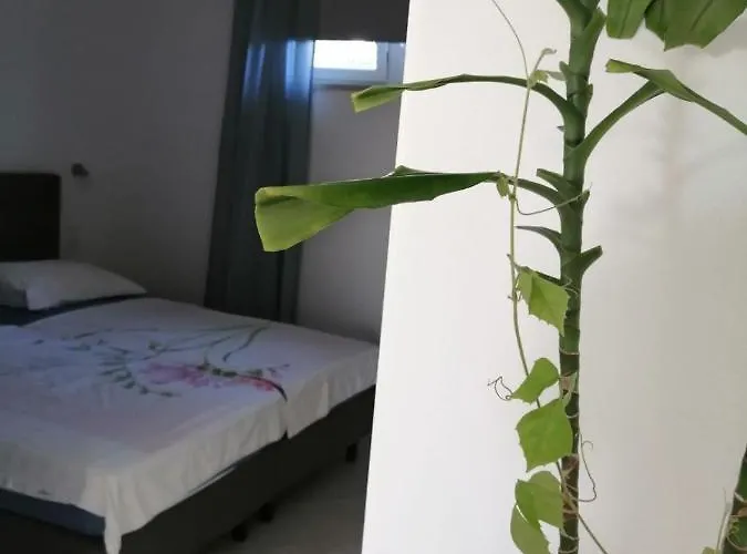 Apartmán Kuca Moni Medulin