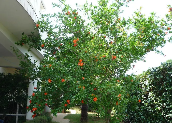 Kuca Moni Apartmán