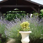 Kuca Moni Apartamento